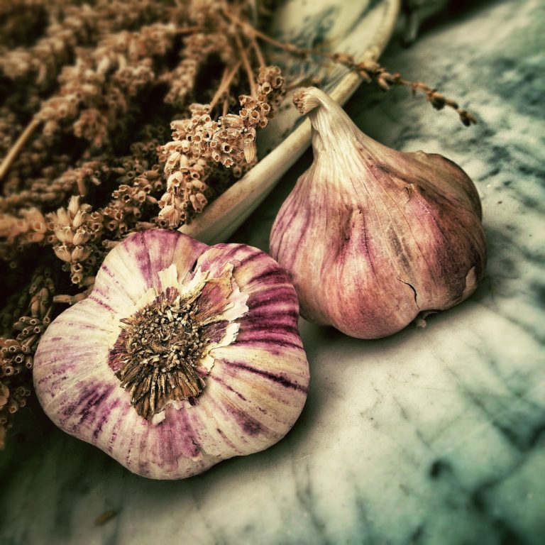 Garlic, the Magical Herb