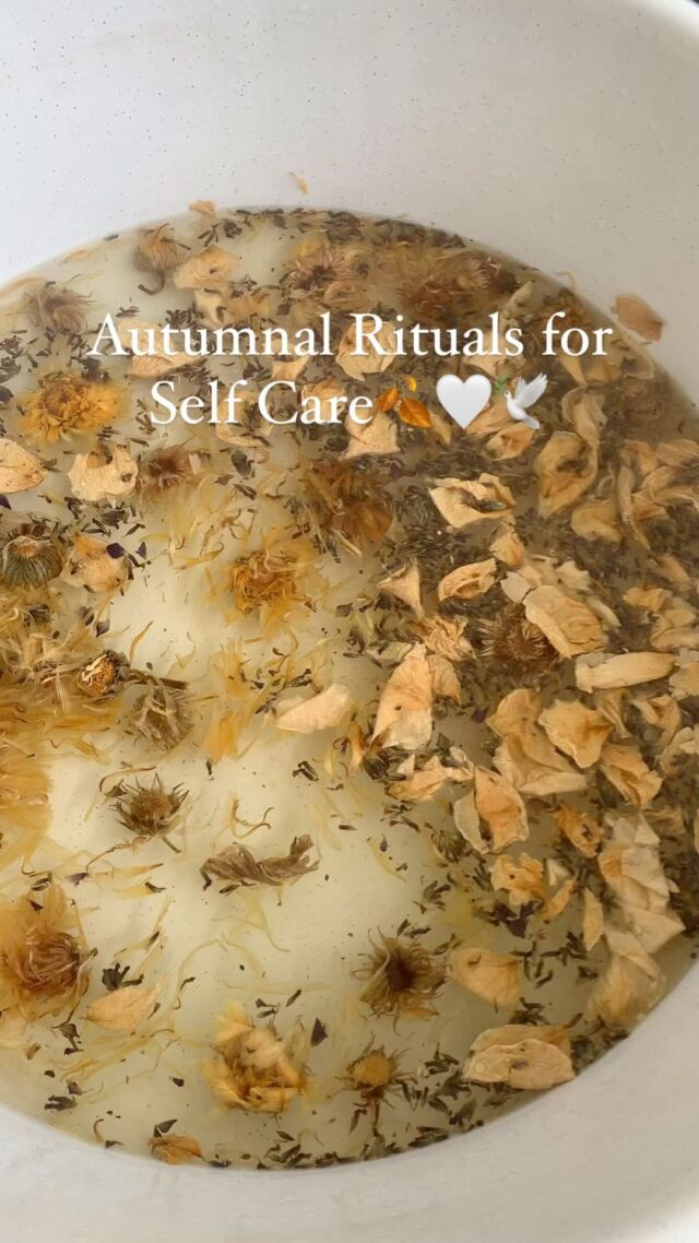 Autumnal Rituals for Self Care🍂🕊️

A gentle reminder to take care this Season.🍁I’m sharing a few rituals that support nervous system regulation and grounding.😌 We can all use a little more of that, right now…Please be gentle with your hearts, and take care of one another.🕊️🍂🤍

Fall Blessings to All🍂