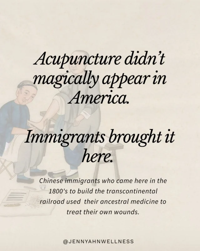 Acupuncture didn’t magically appear in America.
Immigrants brought it here.

It is an ancestral medicine—carried through generations, across oceans, through war, displacement, and survival. 

Immigrants brought acupuncture with them in their bodies, their hands, their memory. 

If immigrants make you uncomfortable, then so should the medicine they brought, the food you eat, and the art and healing you benefit from.

Acupuncture and wellness in America exists because immigrants exist.

If you benefit from acupuncture, herbal medicine, gua sha, teas, food, and our traditions-you are benefiting from immigrant knowledge.

You don’t get to enjoy the medicine without acknowledging where it came from.

You don’t get to enjoy the healing while denying humanity and the injustices against the people who brought it here.

Bottom line is: if you’re anti-immigration and pro ICE, you don’t get to benefit from our medicine & traditions. Period. 

Abolish Ice

Last slide credit to @holismprints 🙏🏼✨🙌🏽✨✊🏽