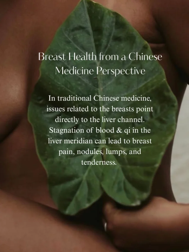 Breast Health from a Chinese Medicine Perspective🍃

#tcm #tcmlivingwell #chinesemedicineworks #chinesemedicine #breasthealth